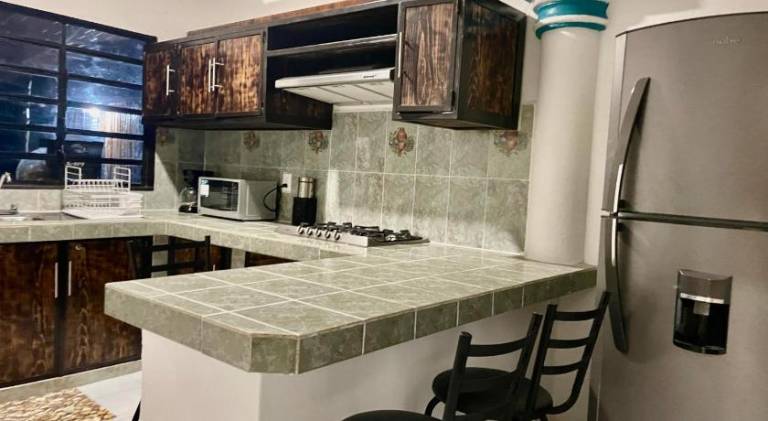Beautiful rental apartment | Dogs allowed — photo 3