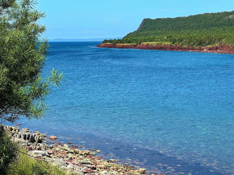 House Norman's Cove