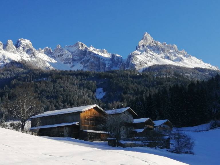 foto12