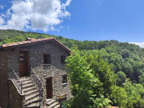 Apartamento Molló