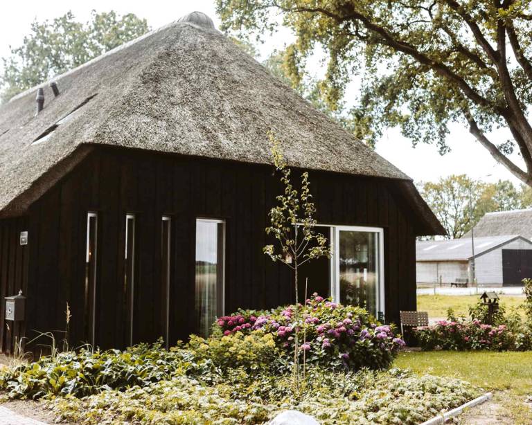 Huis Havelte