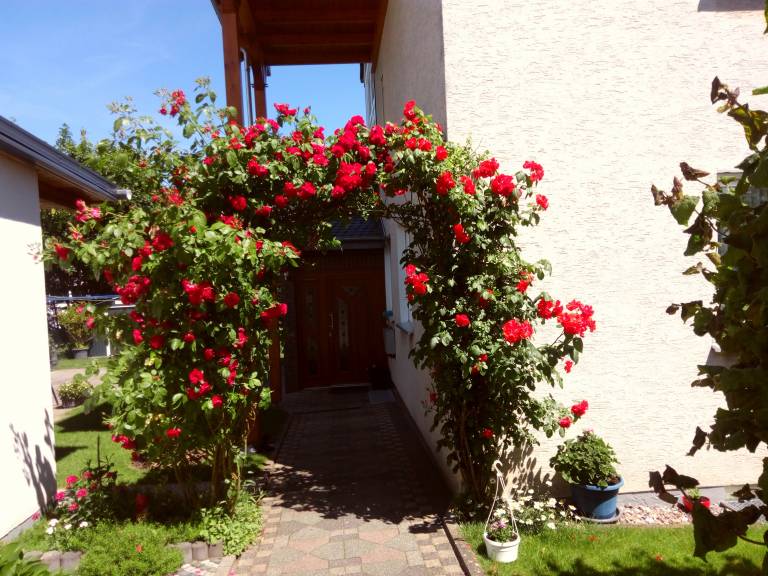 Ferienwohnung  Holzminden