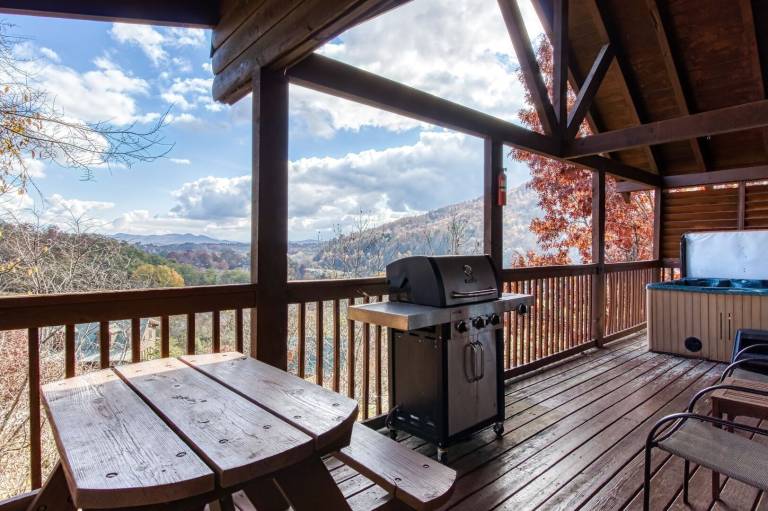 Cabin with private pool — photo 2