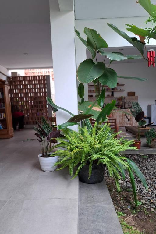 foto7
