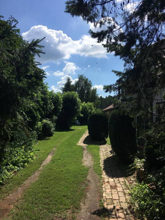 foto14