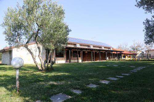 Διαμέρισμα  Nea Plagia