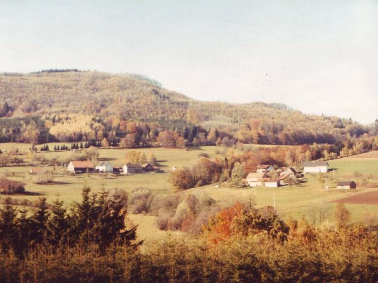 foto11