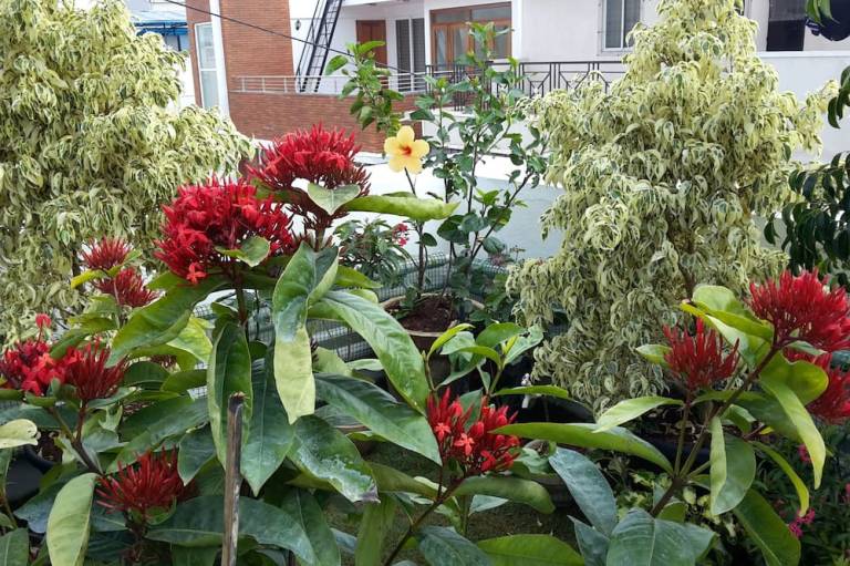 foto16