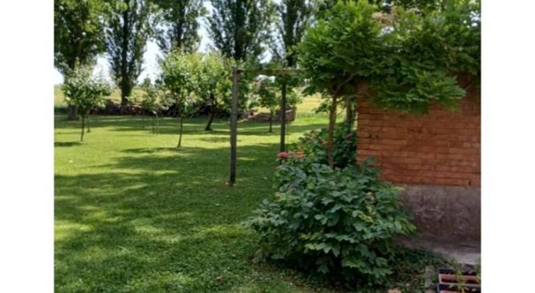 foto13