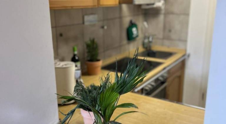 Nest & Rest Homes — photo 5