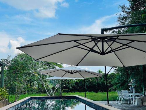 Mountain View Pool Apartment in Chiang Rai