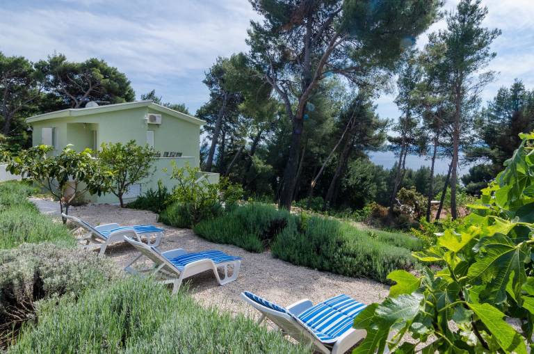 Apartament  Postup