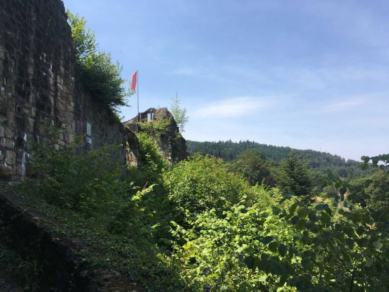 foto19