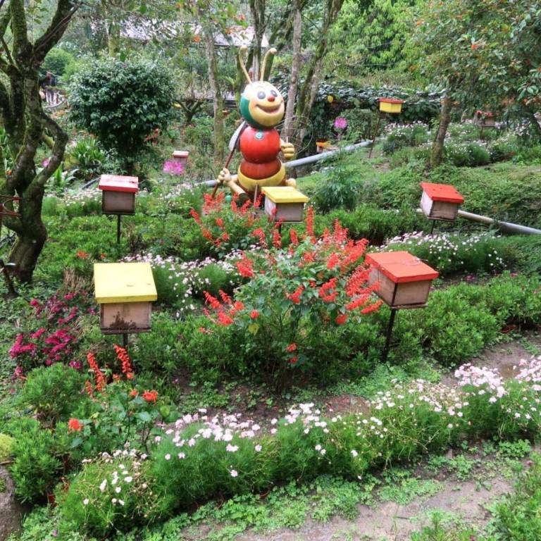 foto12