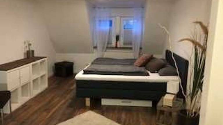 foto19