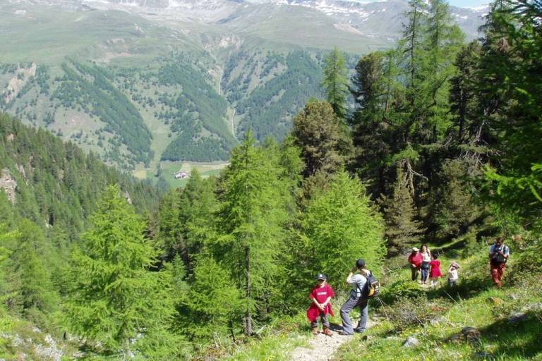 foto15