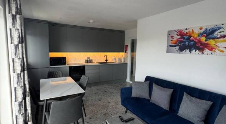 Rental apartment | Close to Belfast City Hall | Pets are welcome — photo 3