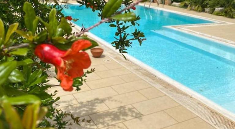 Villa with pool & hot tub | Dogs allowed in Polignano a Mare