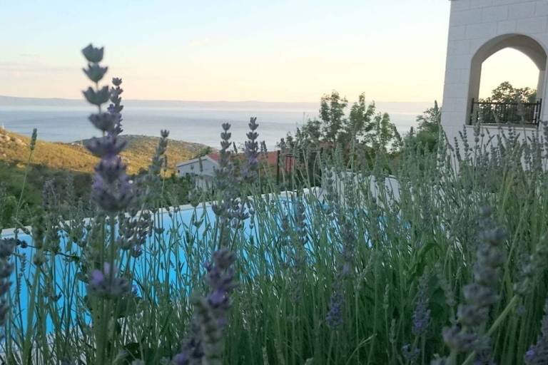 House with terrace & BBQ — photo 5