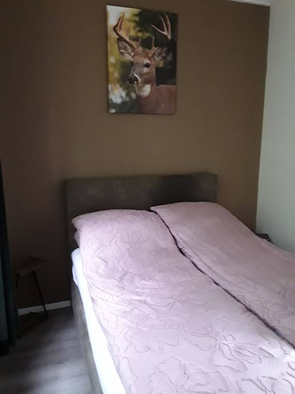 foto16
