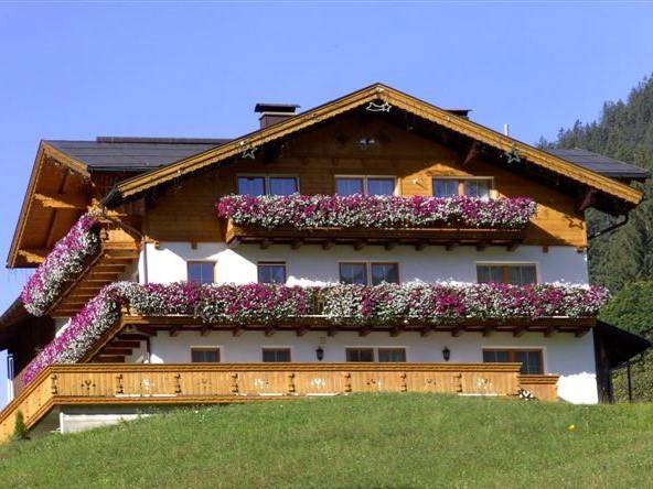 foto1