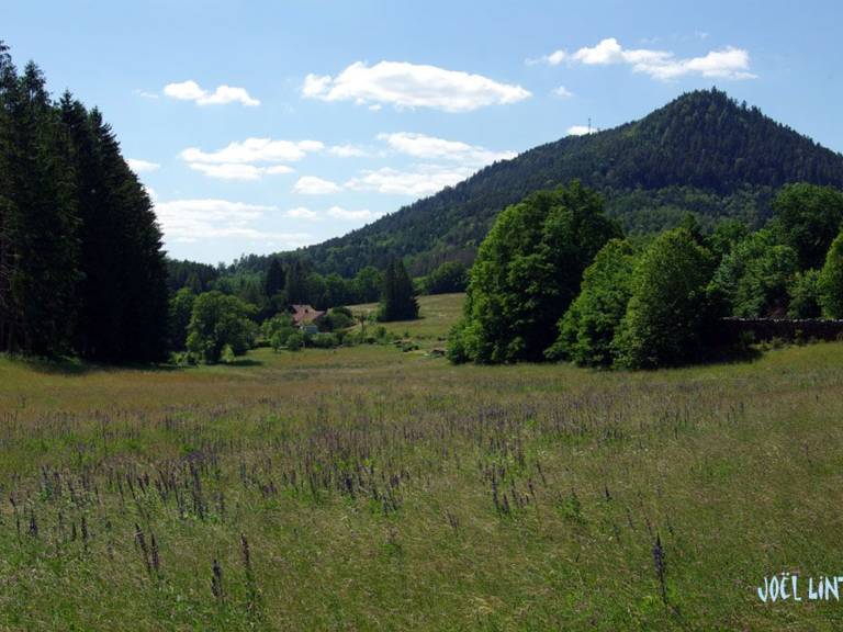 foto30