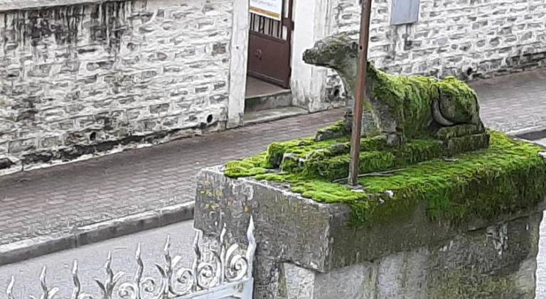 foto10