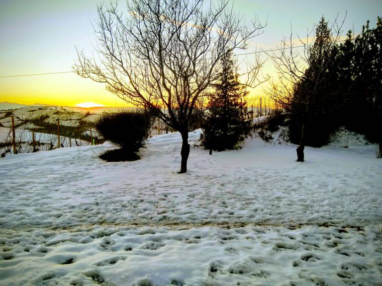 foto32