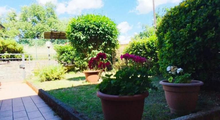 foto29