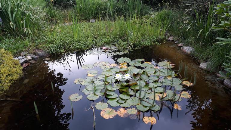 foto6