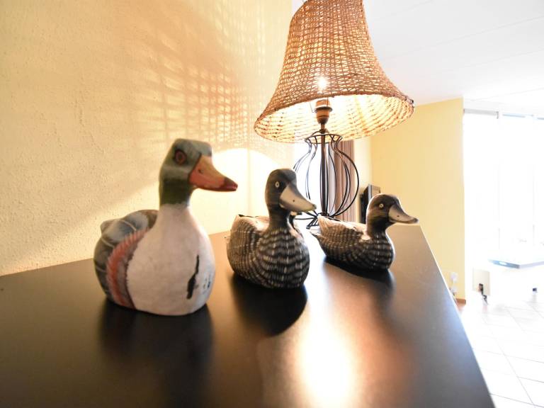 foto22