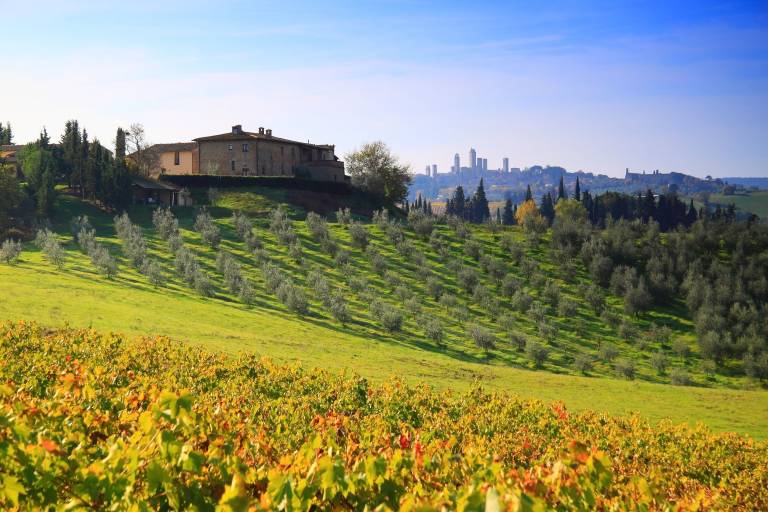 Bauernhof San Gimignano