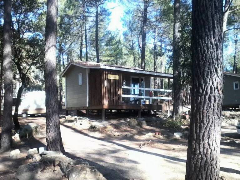 Beautiful chalet with garden, heated pool & grill | Pets allowed — photo 3
