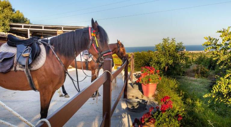 Farm with yard, pool & terrace in Avola