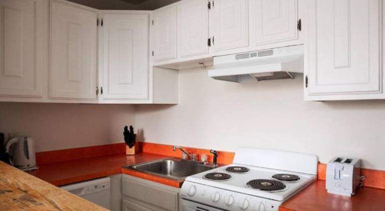 Spacious Fenway 1BR — photo 4