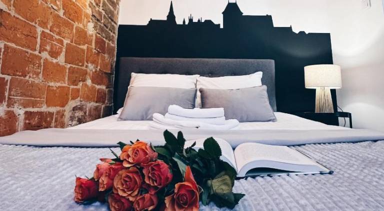 Charming holiday apartment | Pets are welcome in Torun