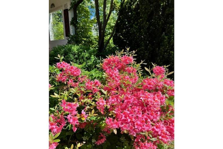 House with yard, patio & barbecue | Pets are welcome — photo 4