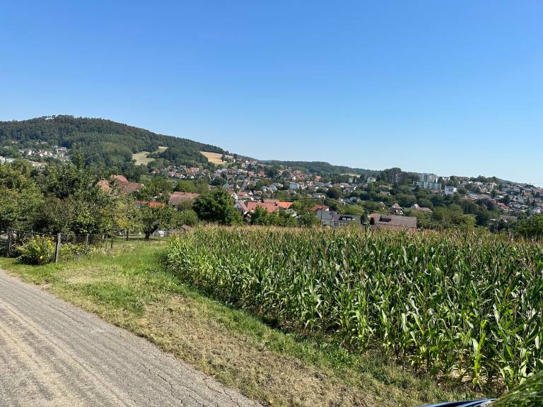 foto21
