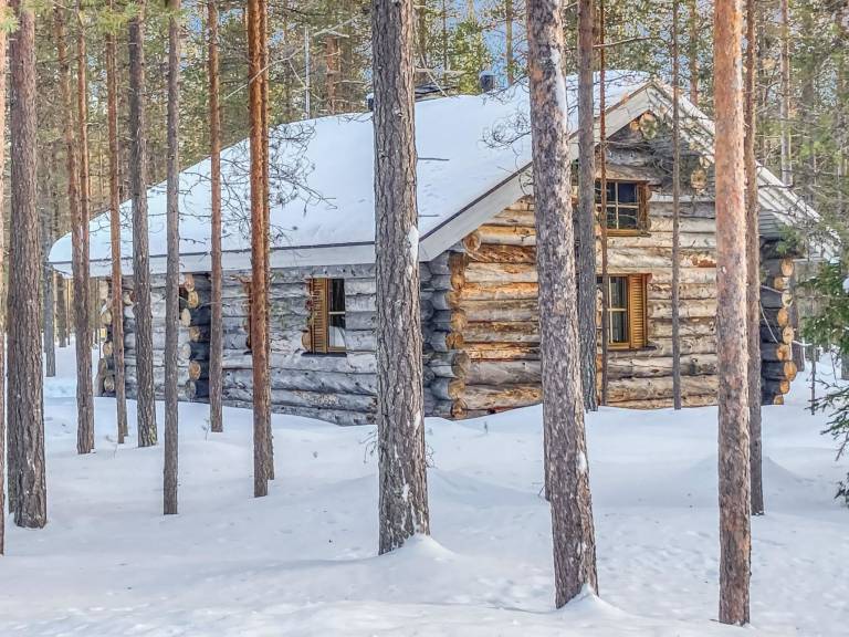 Pleasant vacation home with sauna & patio | Dogs allowed — photo 3