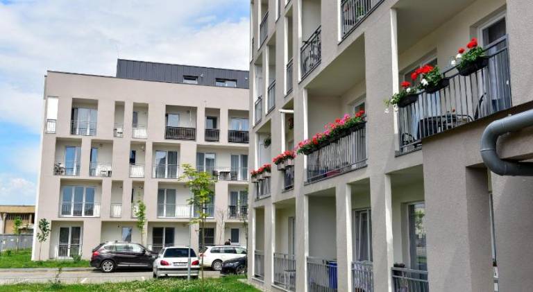 Holiday apartment | Pets are welcome — photo 3
