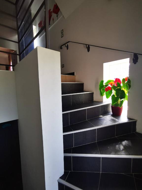 foto46