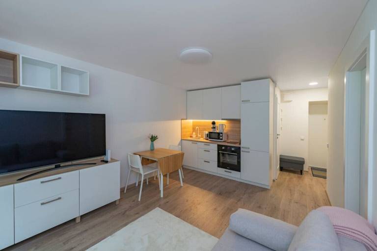 Ferienwohnung  Gričiupis