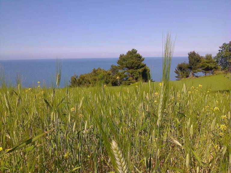 Fully equipped wonderful rental apartment with barbecue & garden | Water view | Close to the beach | Pets are welcome — photo 2