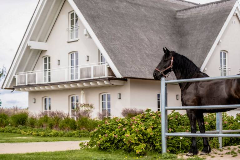 Ferienwohnung  Mellenthin