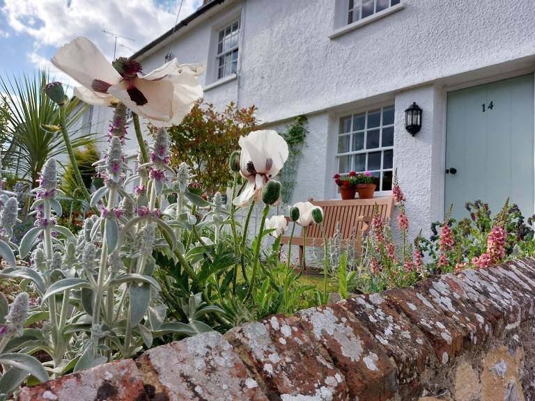Cottage Steyning