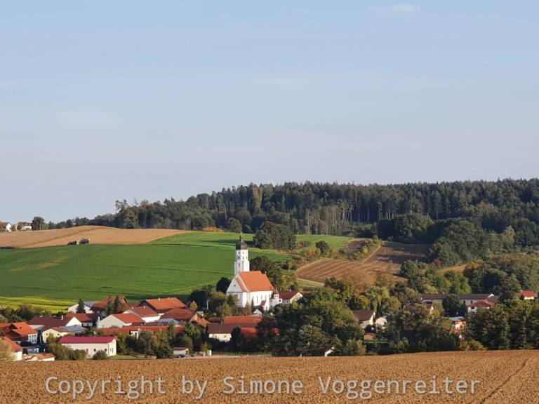 foto11