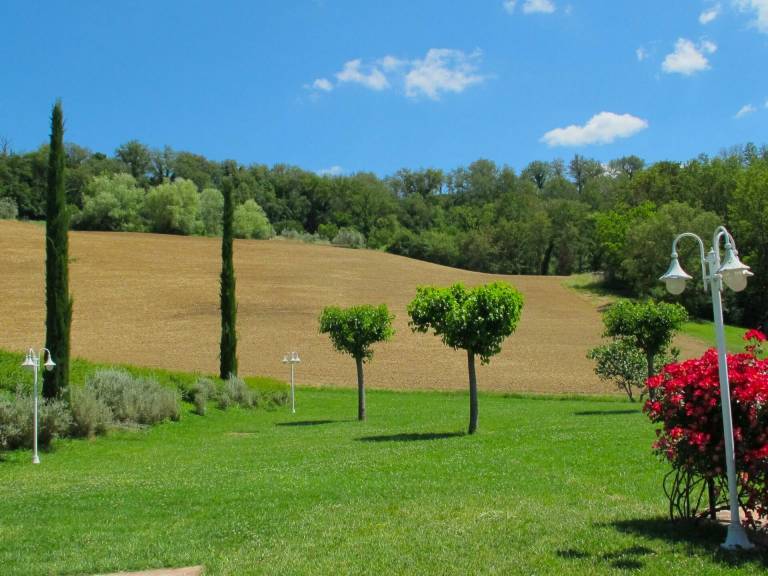 foto7