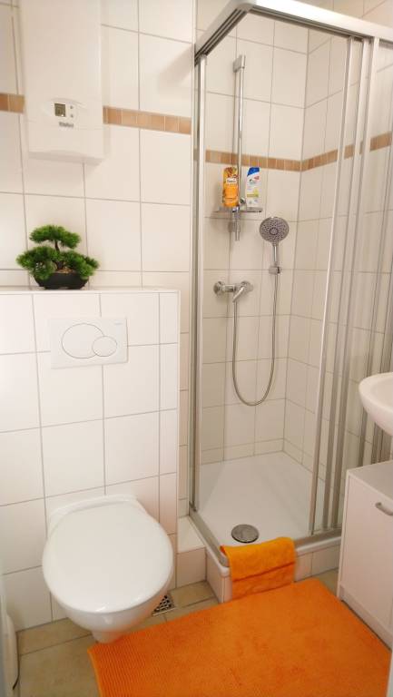 foto7