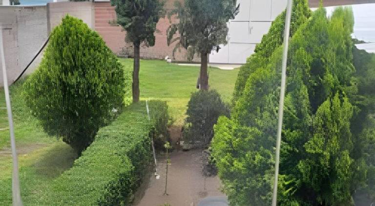 foto17