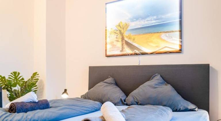 Rental apartment | Pet-friendly — photo 4
